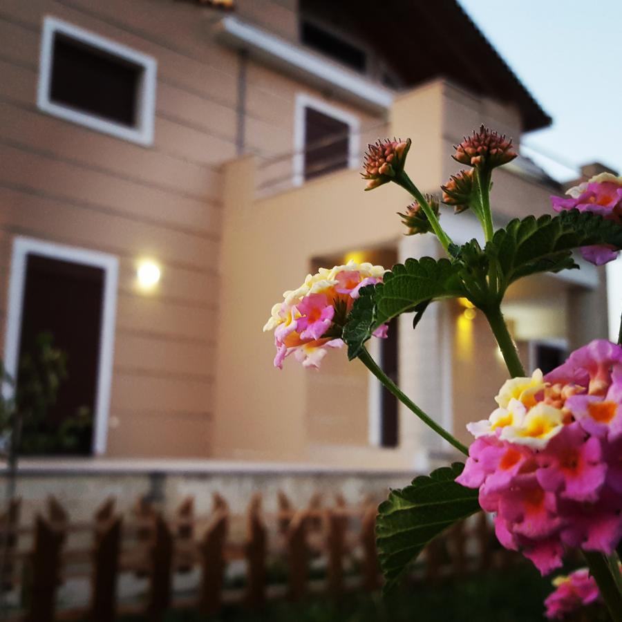 Villa Luna Kalamaki  Bagian luar foto